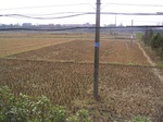 3171R0017205.JPG