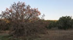 2012-09-23_20-35-42_TX-BRT-25-1.JPG