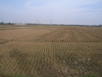 4593RIMG0034.JPG
