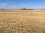 2017-03-02_10-20-01_Feb17-165-IL.jpg