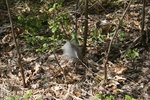 301IMG_4197.JPG