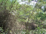 1789427042008(29).JPG