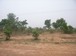 3910RIMG0214.JPG