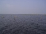 1487R0015193_small.jpg