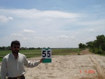 6289055b-irrigated-surfacewater-neyweli-rice-large-scale-doublecrop.jpg