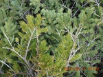 2012-09-27_14-25-34_273.JPG