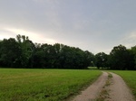 2017-06-12_18-07-58_20170605_201347.jpg