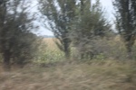 2019-10-15_12-00-01_4E8A1832.JPG