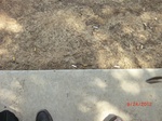 2012-10-02_19-37-25_CIMG0054.JPG