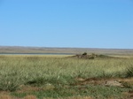 37847CIMG1654.JPG