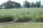 2022-05-26_14-42-50_74F2D758-4116-4251-9B6C-1EB19CAE3071.jpeg