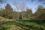 174IMG_4070.JPG