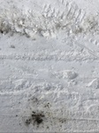 2018-03-02_14-57-35_73D44FE0-41B5-40C4-AE72-B33048460D1E.jpg