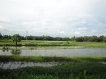 21377DSC00654.JPG