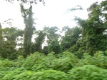 19867P1010717.JPG