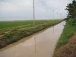 15727IMG_4810.JPG