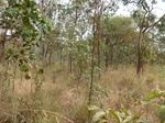 2012-08-28_20-34-47_P1010132.jpg