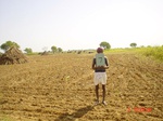 6456gt007-cropland-2.jpg