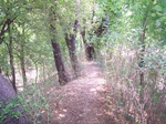 1775624042008(17).JPG