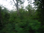 4078RIMG0383.JPG