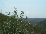 527927042008(70).JPG