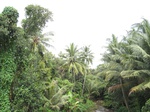 14557IMG_4923.JPG