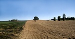 2012-09-24_20-35-12_OR-MN-16-3.JPG