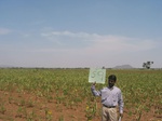 7845gt059a-cropland-rainfed.jpg