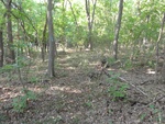 2012-09-24_10-40-15_DSC03122.JPG