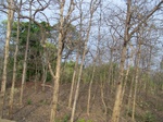 17466100_2155.JPG