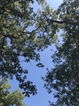 2020-09-28_19-57-26_3d05a30ccc9e7691944a384f1c98b2ad.jpg