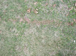 9791IMG_0068.JPG