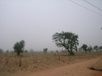 3936RIMG0240.JPG