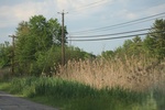 2022-06-11_16-04-19_A7BB4355-3157-42CE-B28D-17036FF8E489.jpeg