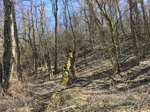 2018-03-26_20-51-51_3DCEEE6A-0542-4C23-8EE5-6722F928196D.jpg