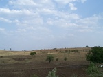 490602052008(98).JPG