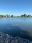 2020-08-07_09-27-28_2020-7-24-8-51-31.jpg