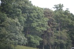 2022-06-12_15-25-20_D9553ED1-0BE7-4A09-90F7-0DB7F08890A1.jpeg