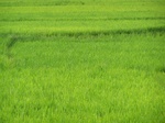 17558100_2819.JPG