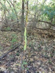 2012-09-24_10-40-22_DSC03109.JPG