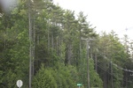 2022-06-12_15-03-12_F42790A4-64CD-4DEB-ACAE-DB4AB3C56555.jpeg