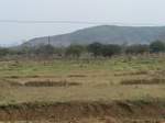 474901052008(16).JPG