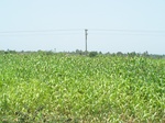 1764422042008(24).JPG