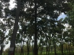2017-09-12_11-05-41_6060400E-AF0E-4ACC-B6E5-0D8BCE564CF2.jpg