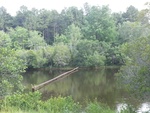 2017-07-05_13-43-01_20170703_182359.jpg