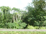 20148P1010999.JPG