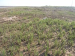 439820071010gps 047.jpg