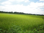 21349DSC00620.JPG