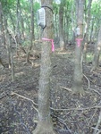 2012-09-21_16-12-31_CIMG2992.JPG