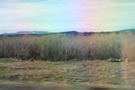 2017-05-08_20-31-02_2017-03-15 17.13.03.jpg